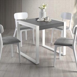 MODELO 2422 de 80 x 80